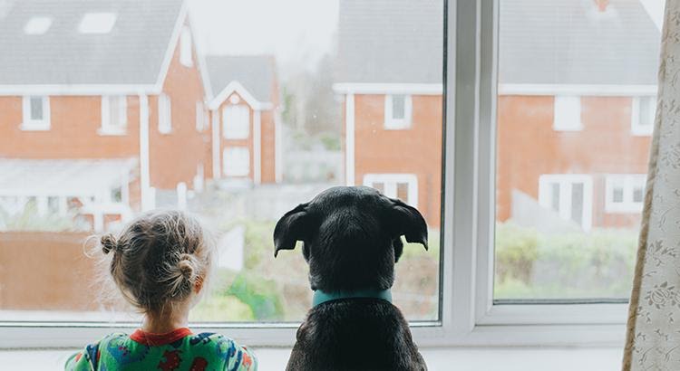 Girl and a dog looking outside the window